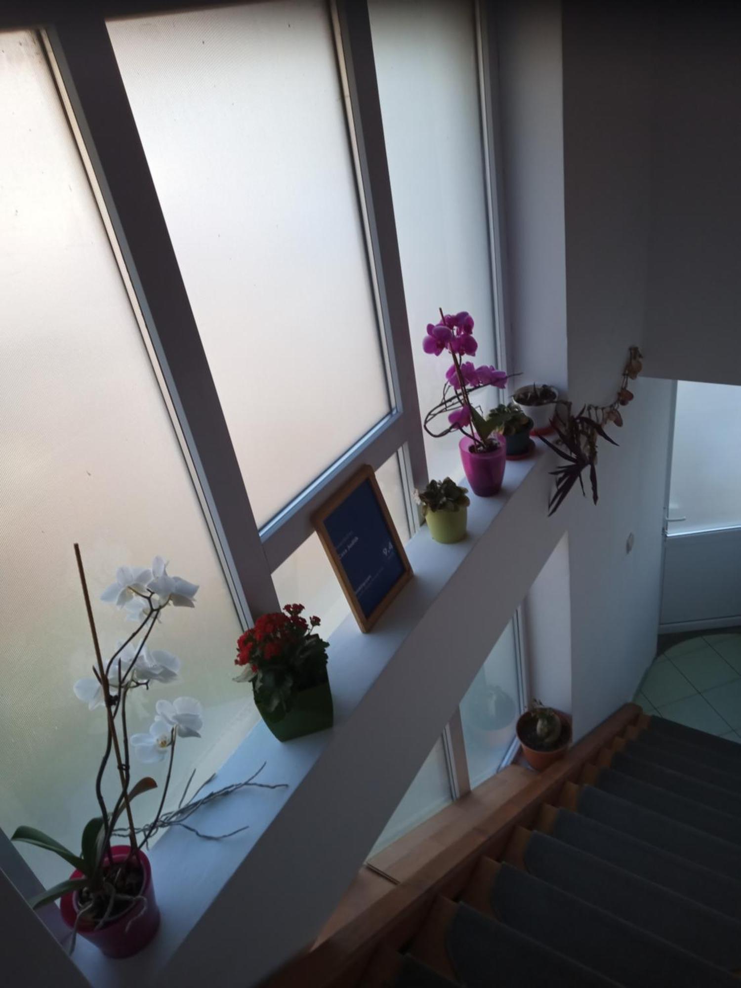 Casa Judith Turda Pokoj fotografie